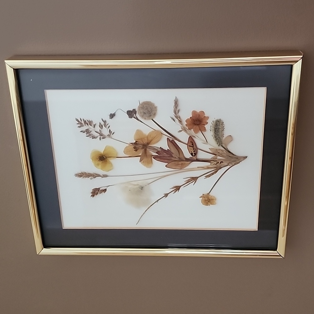 Vintage Pressed Dried Arctic Flowers Gold Framed Floral Art - Picture 10 of 11